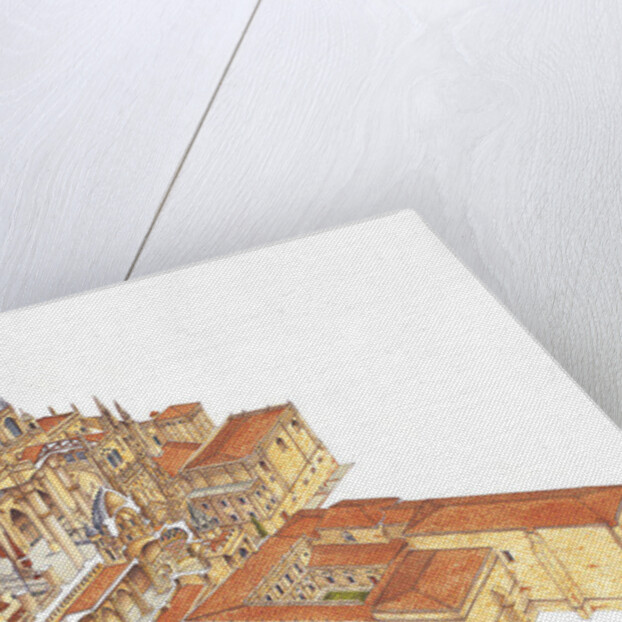 Salamanca Cathedral. Spain by Fernando Aznar Cenamor