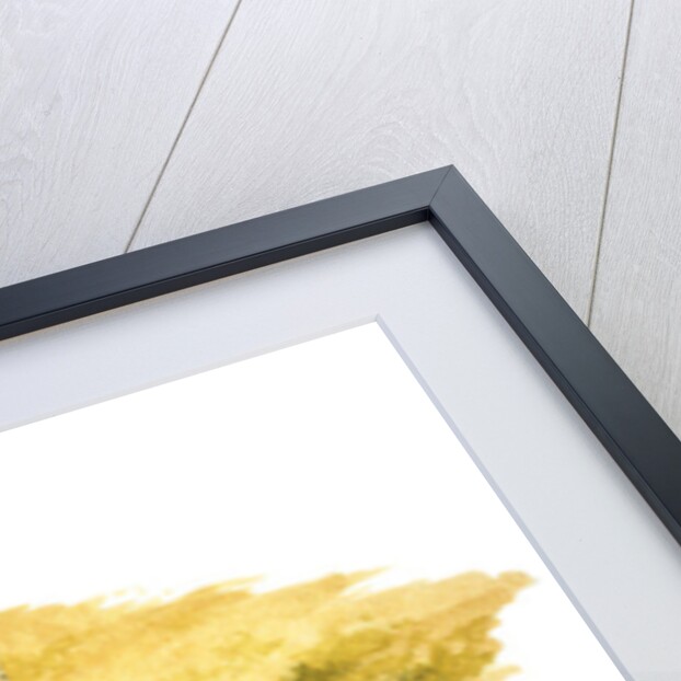 Palenque, Mexico. Temple of the Inscriptions by Fernando Aznar Cenamor