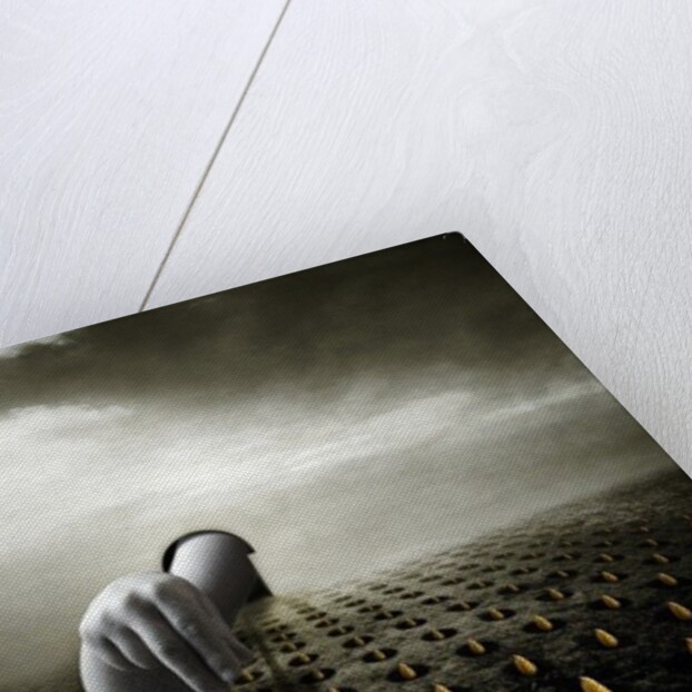 Tulip thief, 2013 by Johan Lilja