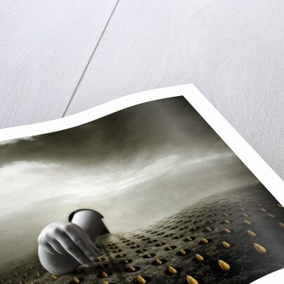 Tulip thief, 2013 by Johan Lilja