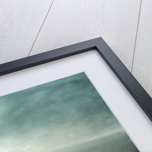 Fly, 2013 by Johan Lilja