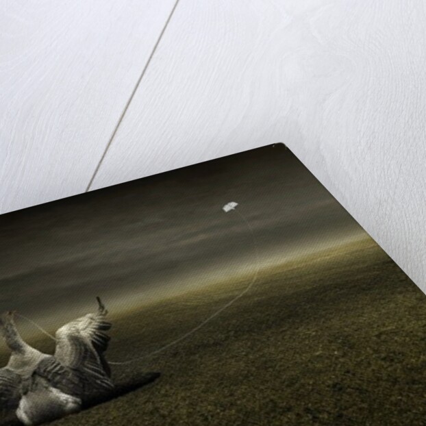 Help on the way, 2013 by Johan Lilja