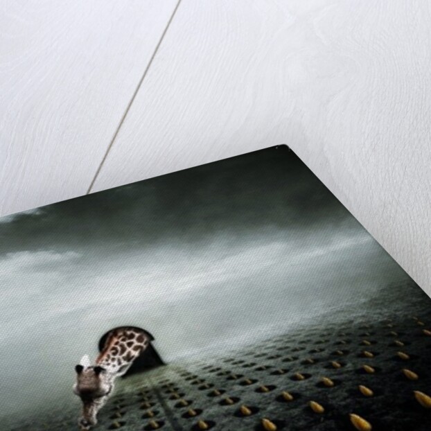 Ttulip thief 2, 2013 by Johan Lilja
