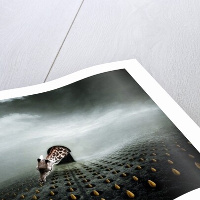 Ttulip thief 2, 2013 by Johan Lilja