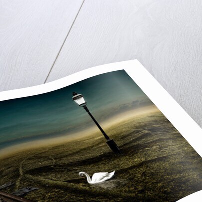 Railway, 2013 by Johan Lilja