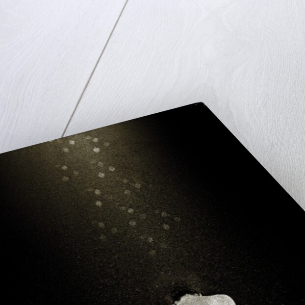 Free, 2013 by Johan Lilja