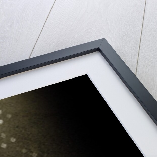 Free, 2013 by Johan Lilja