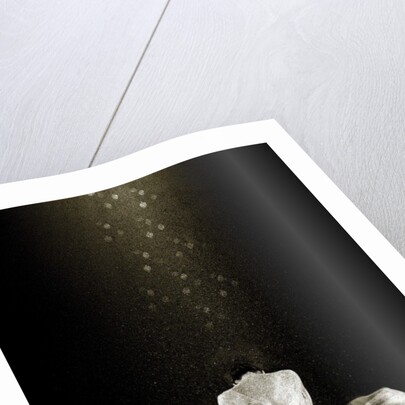 Free, 2013 by Johan Lilja