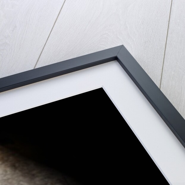 Helping hand, 2013 by Johan Lilja