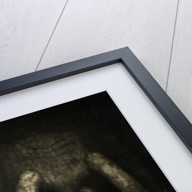 Jail within, 2012 by Johan Lilja