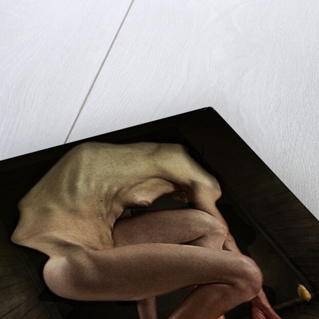 Shame, 2012 by Johan Lilja