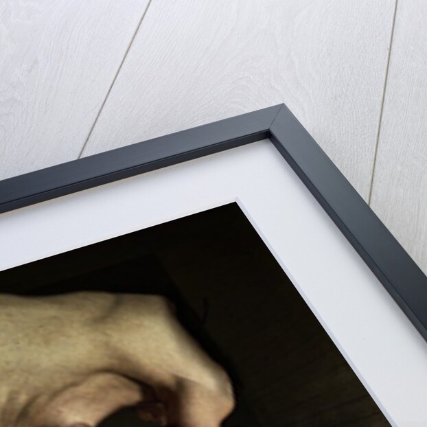 Shame, 2012 by Johan Lilja