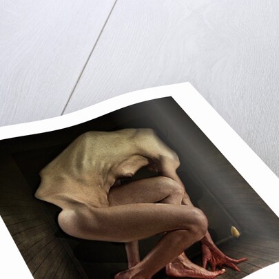 Shame, 2012 by Johan Lilja