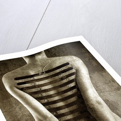 Body, 2013 by Johan Lilja