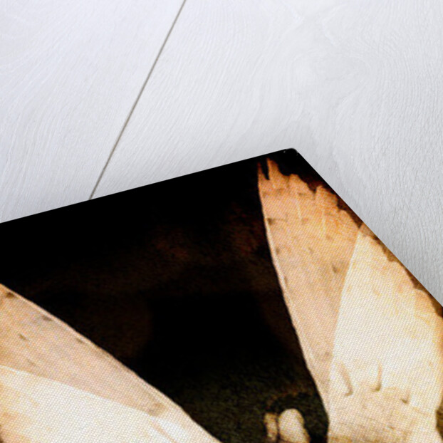 Brush, 2013 by Johan Lilja