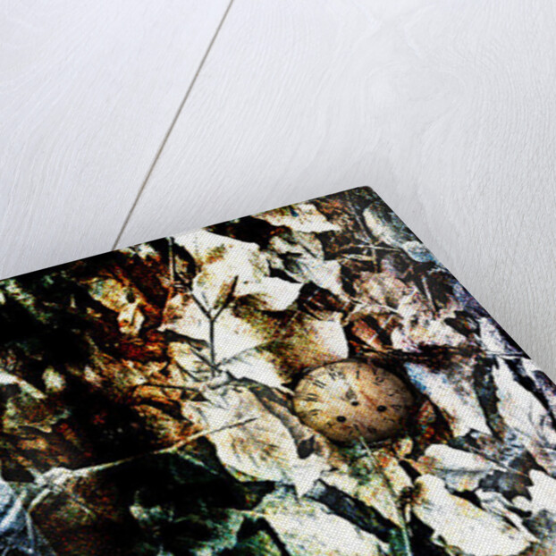 Heart, 2012 by Johan Lilja