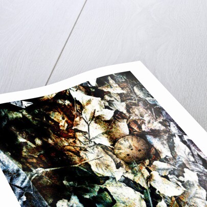 Heart, 2012 by Johan Lilja