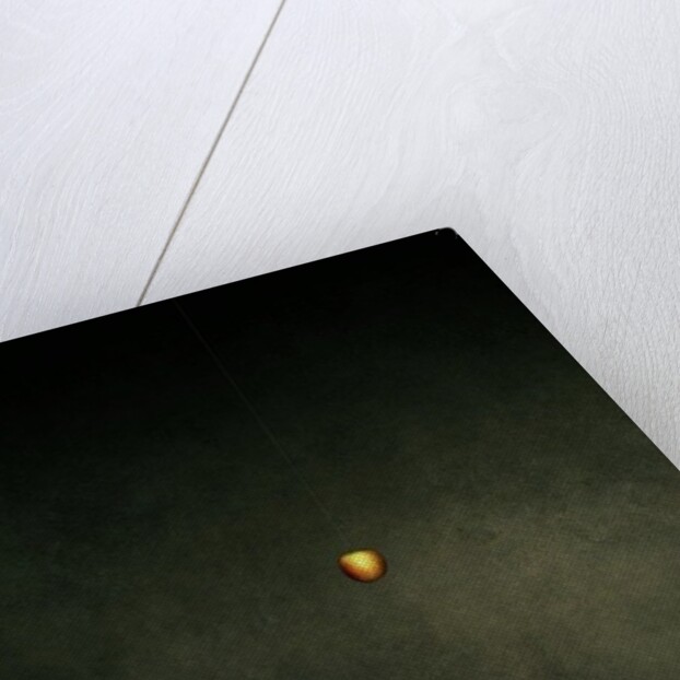 Hide my self, 2013 by Johan Lilja