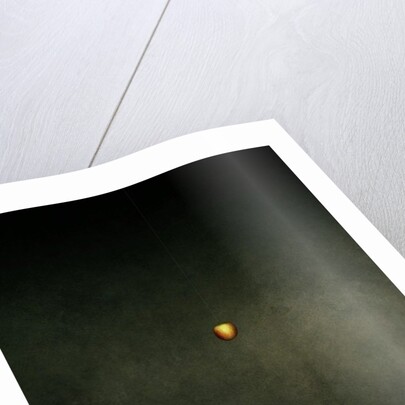 Hide my self, 2013 by Johan Lilja