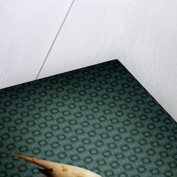 You, 2012 by Johan Lilja