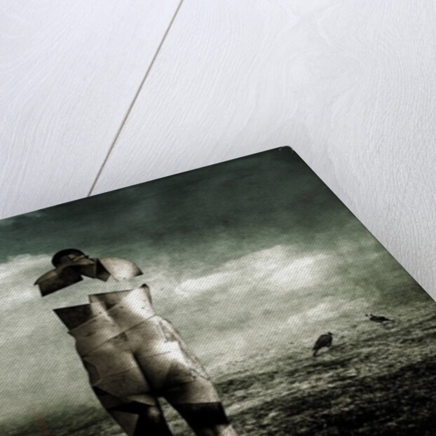 Redline daylight, 2014 by Johan Lilja