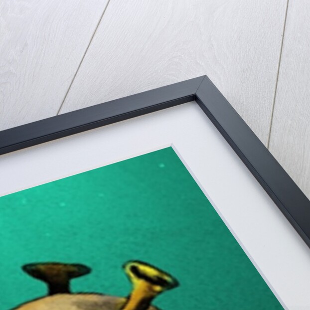 Player, 2014 by Johan Lilja