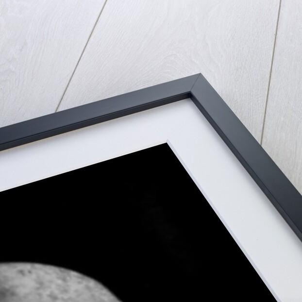 A clowns death, 2014 by Johan Lilja