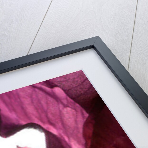 Iris Shrine Purple, 2011 by Julia McLemore