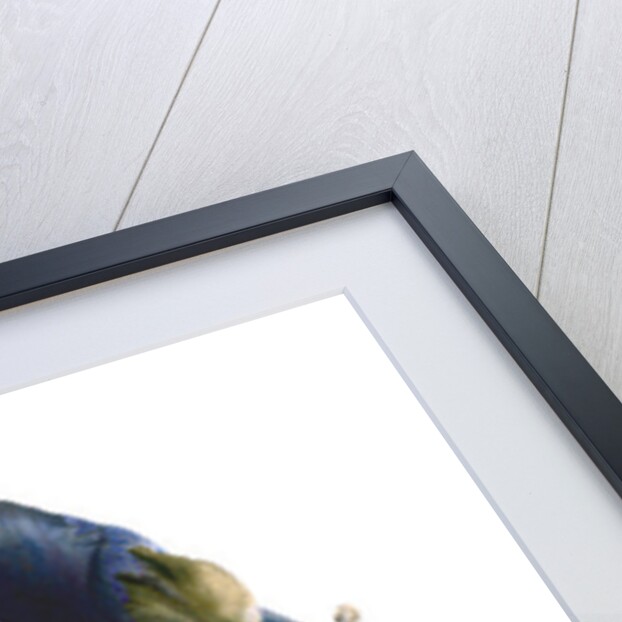 Delphinium Dance, 2009 by Julia McLemore