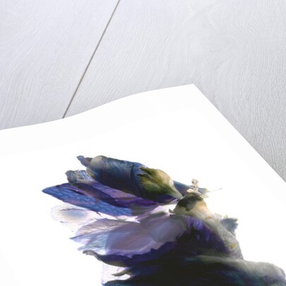 Delphinium Dance, 2009 by Julia McLemore