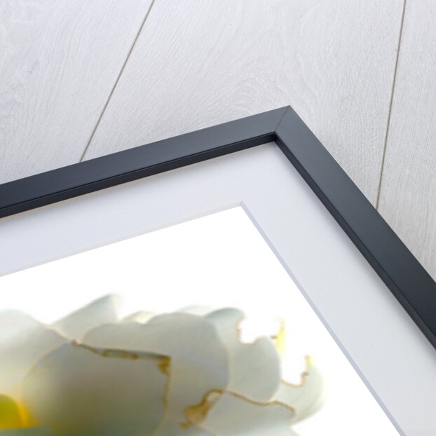 Gardenia Float, 2011 by Julia McLemore