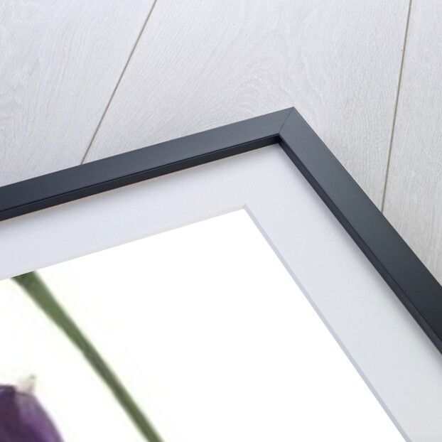 Lisianthus Duo, 2012 by Julia McLemore