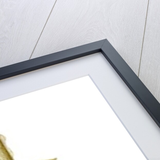 Daffodil Stand, 2012 by Julia McLemore