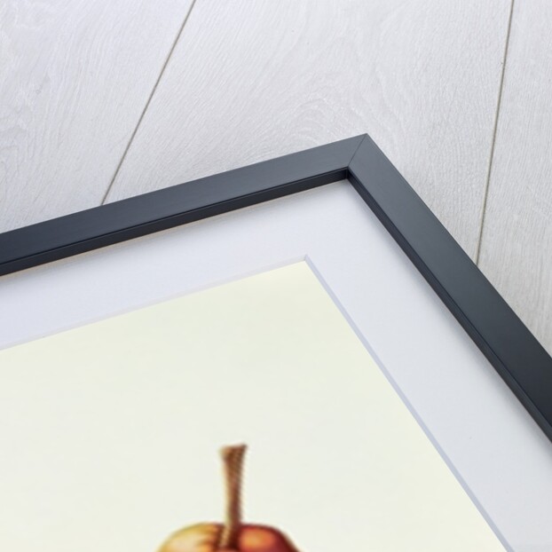 Pears, 2000 by Annabel Barrett