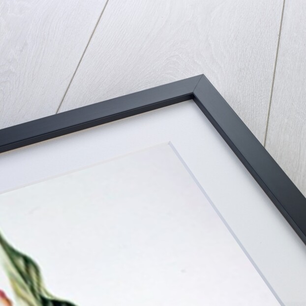 Carla Lily, 2000 by Annabel Barrett