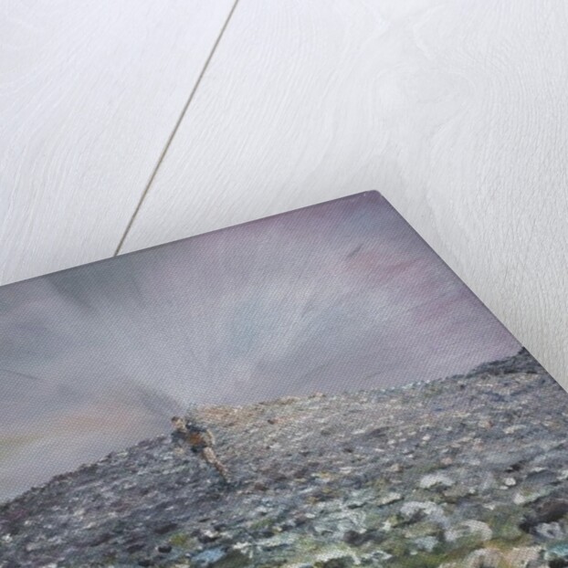 The 42nd Peak, 2012 by Vincent Alexander Booth