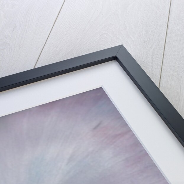 The 42nd Peak, 2012 by Vincent Alexander Booth