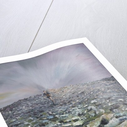 The 42nd Peak, 2012 by Vincent Alexander Booth