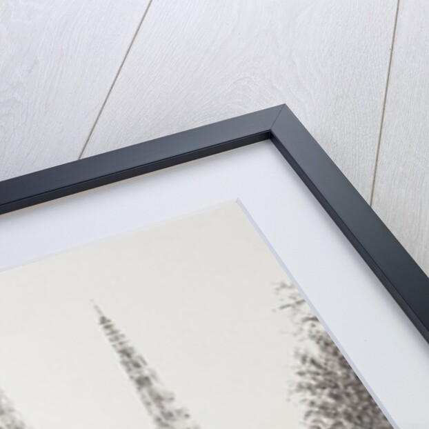 Bordeaux France, 2010 by Vincent Alexander Booth