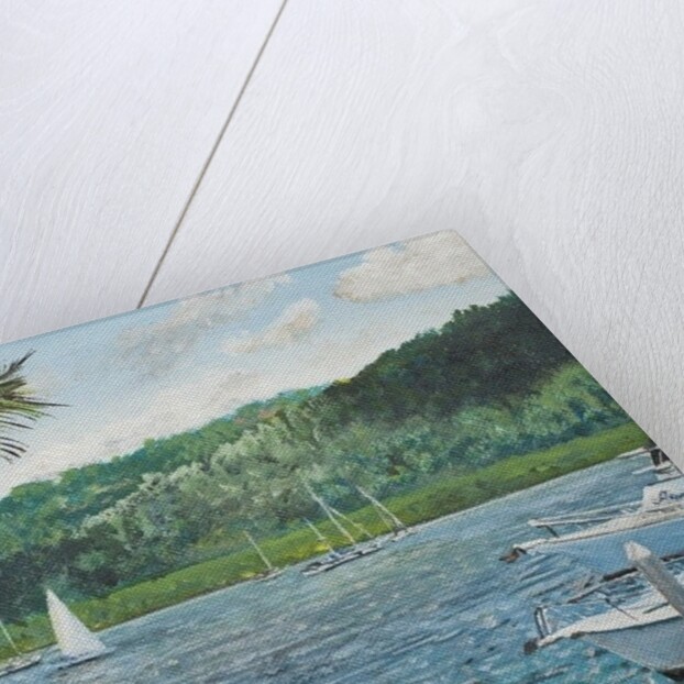 Cairns Australia, 1998, by Vincent Alexander Booth