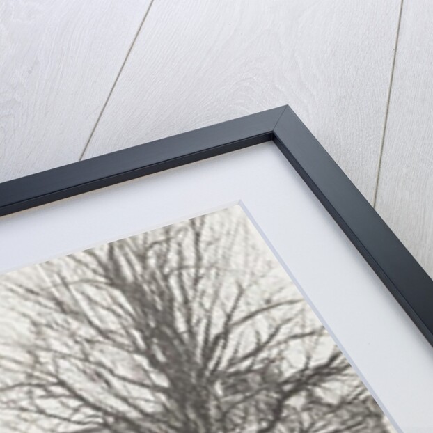 Falkland Palace Scotland, 2007, by Vincent Alexander Booth