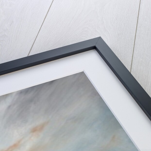 Les Secret Obscure Lysander, 2013 by Vincent Alexander Booth