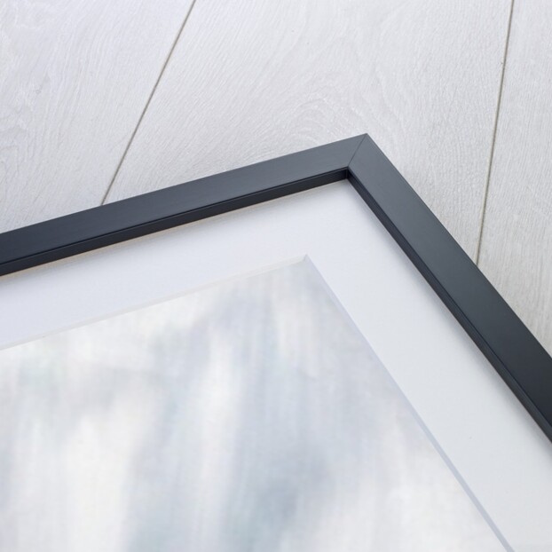 No Further, 20th March 1912, 2012 by Vincent Alexander Booth