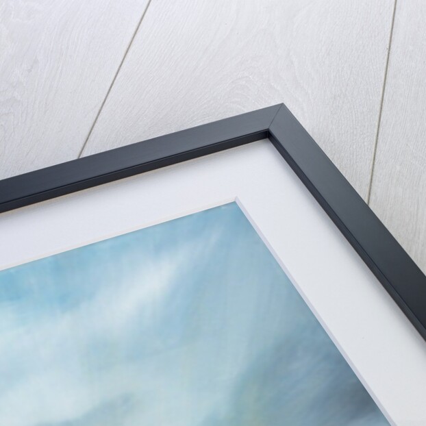 Ice Dominion, Terra Nova passes Ice Burgs, 2014 by Vincent Alexander Booth