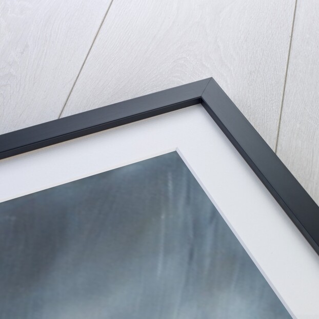 HMS Beagle in Storm off Cape Horn 24th December1832. 2012 by Vincent Alexander Booth