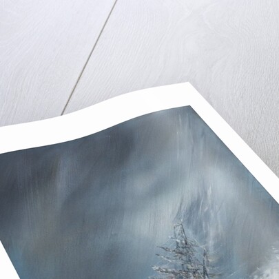 HMS Beagle in Storm off Cape Horn 24th December1832. 2012 by Vincent Alexander Booth