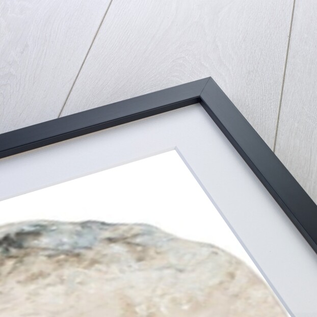 Battle of Trafalgar 1805, 1998 by Vincent Alexander Booth