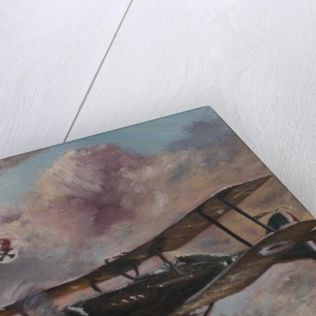 Dogfight 1917, 1995 by Vincent Alexander Booth