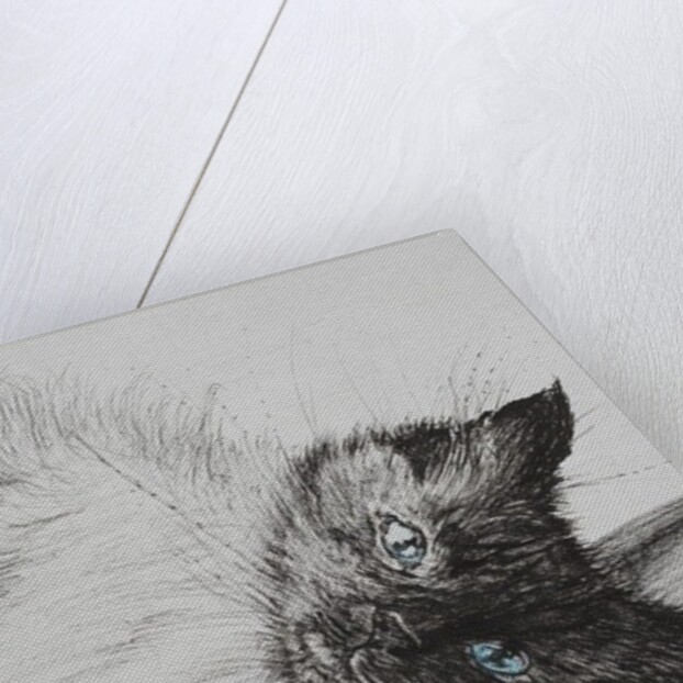 Reach, 2012 by Vincent Alexander Booth