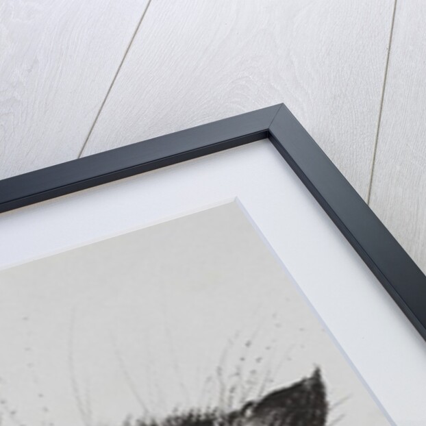 Reach, 2012 by Vincent Alexander Booth